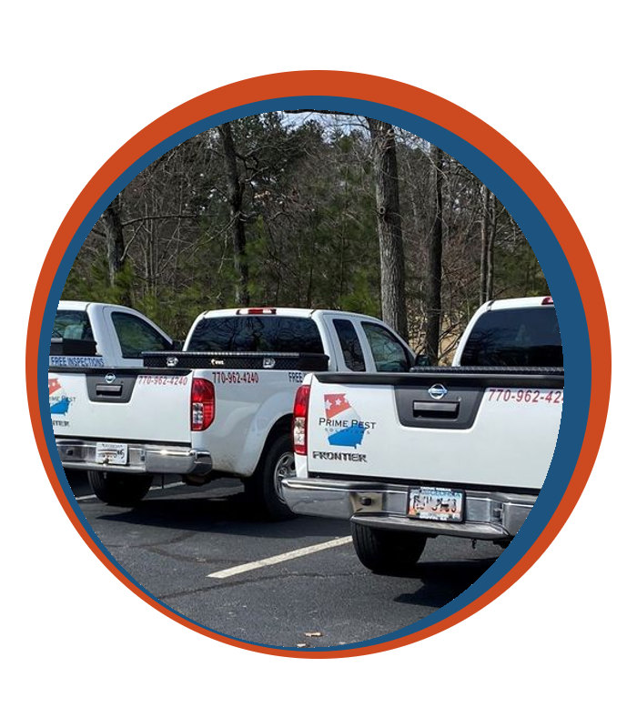 Prime Pest Solutions Trucks